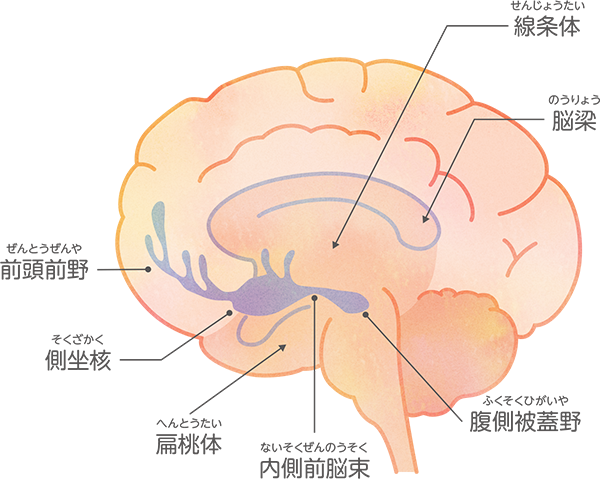 依存症になるメカニズム２ E Learningで学ぼう 依存症の基本